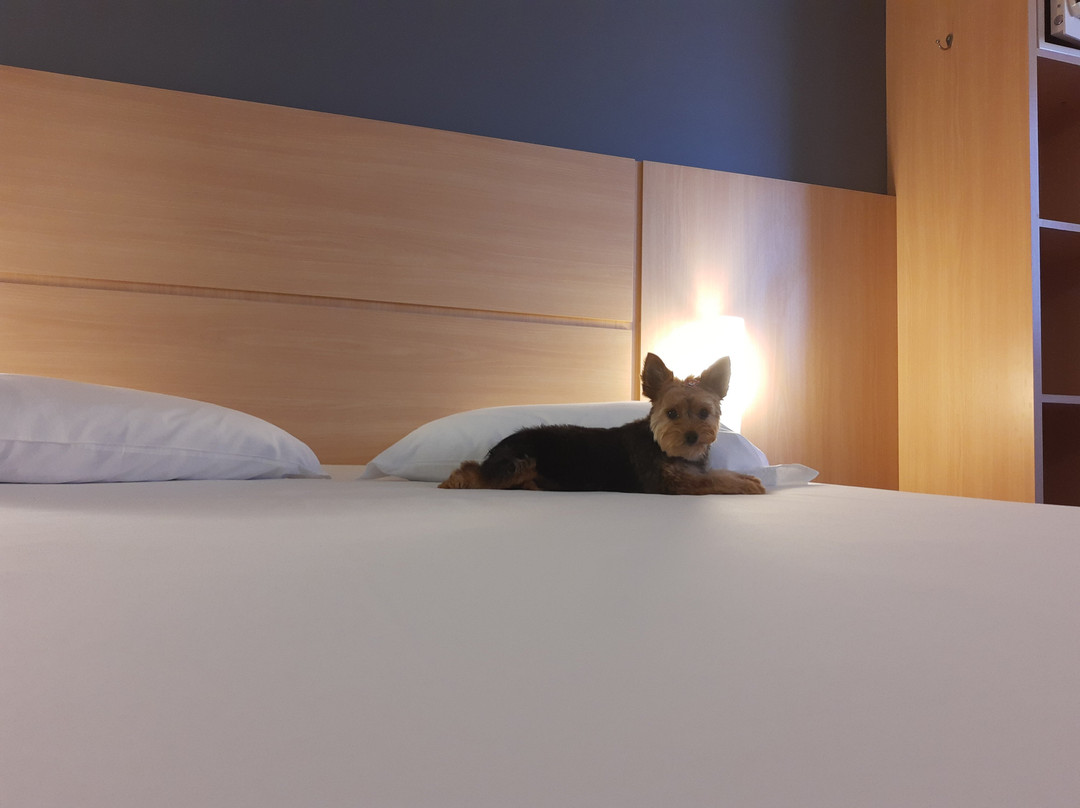 宜必思帕苏丰杜中心酒店主图