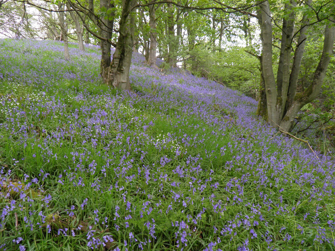 Deepdale Nature Reserve-Barnard Castle必去景点