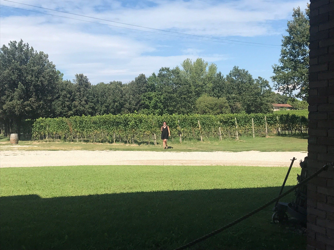 Winery Podere Selva Capuzza-代森扎诺-德尔加达必去景点
