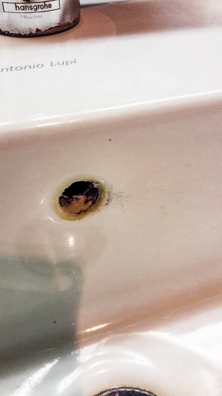 Favorite Parkhotel主图