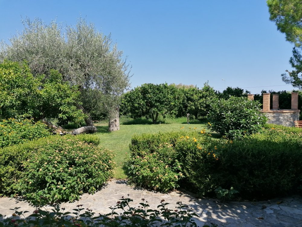 Agriturismo L' Agrumeto主图