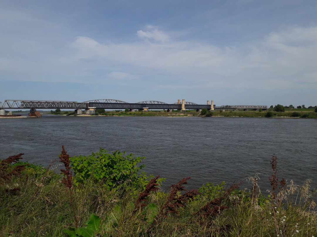 Vistula River Museum景点图片