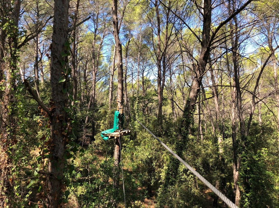 Parc aventure Flay Forest-Flayosc必去景点