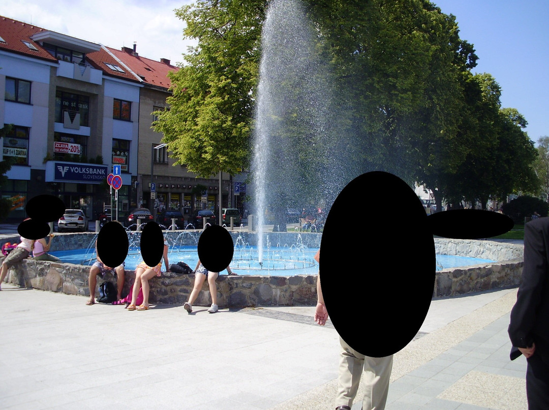Fountain on the SNP Square景点图片