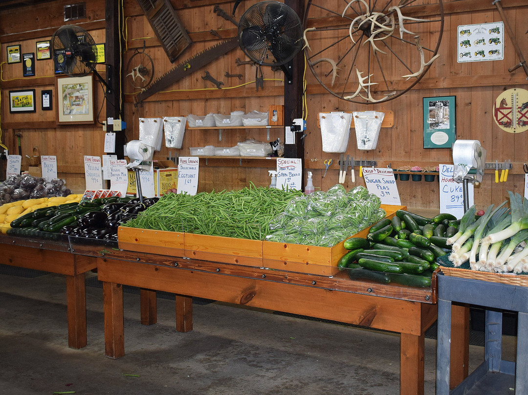 Szalay's Sweet Corn Farm-Peninsula必去景点