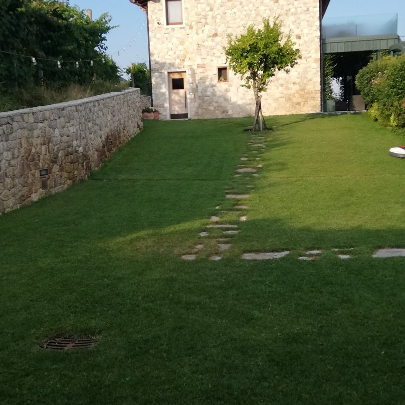 Agriturismo Vedova主图