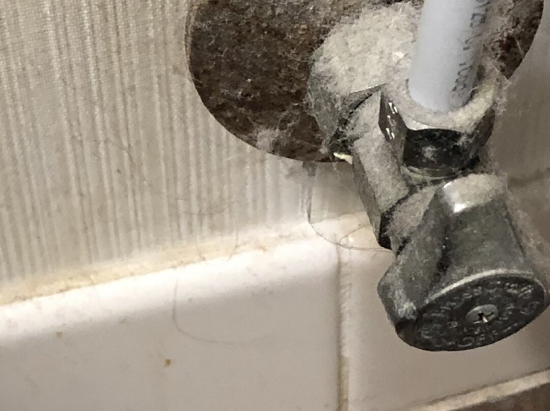 Blue Water Inn主图