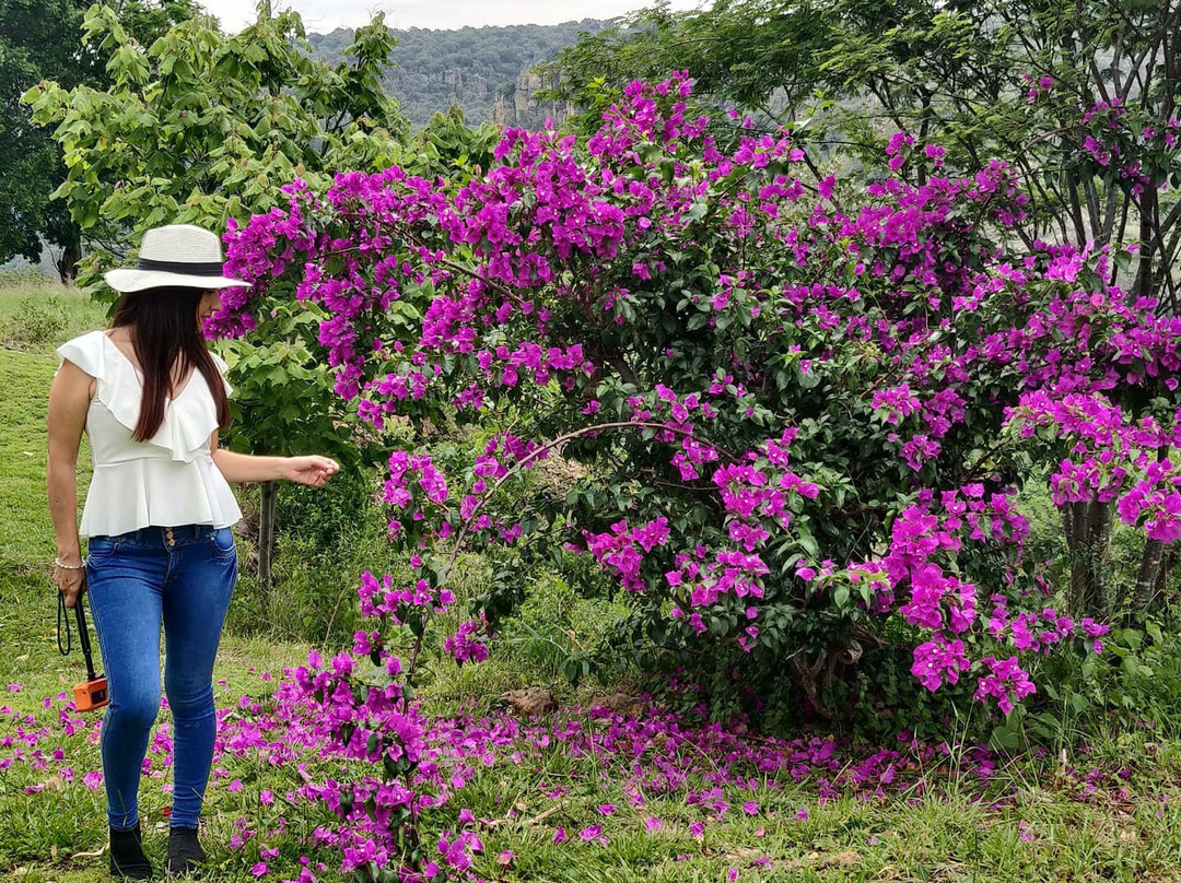 Defranca Alojamiento Boutique主图