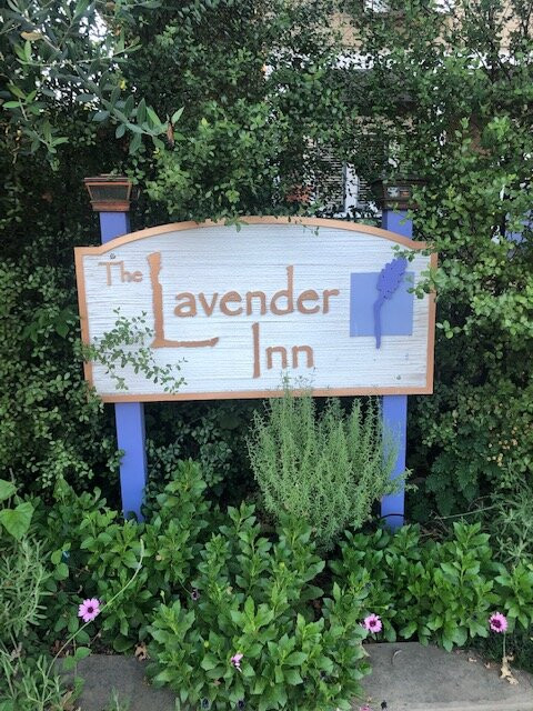 The Lavender Inn主图