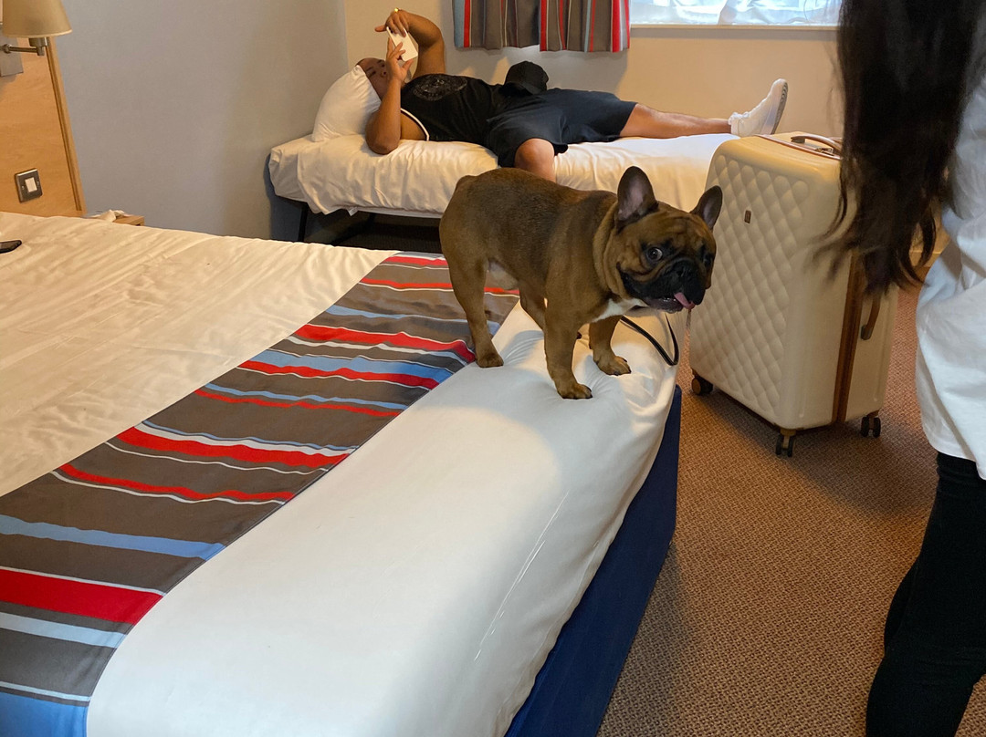 Travelodge Crewe Hotel主图