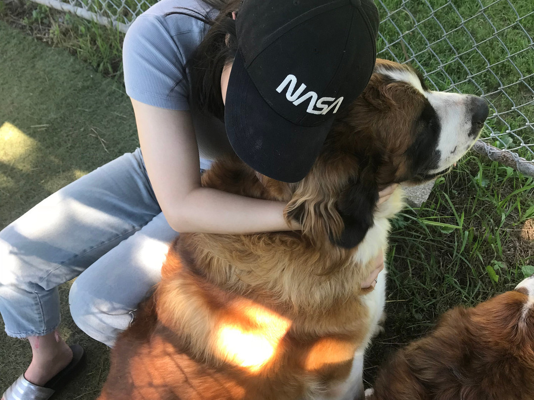 Casselodge Bed & Breakfast主图