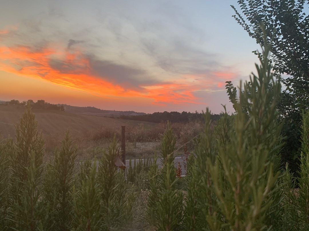 Agriturismo Alba Del Borgo主图