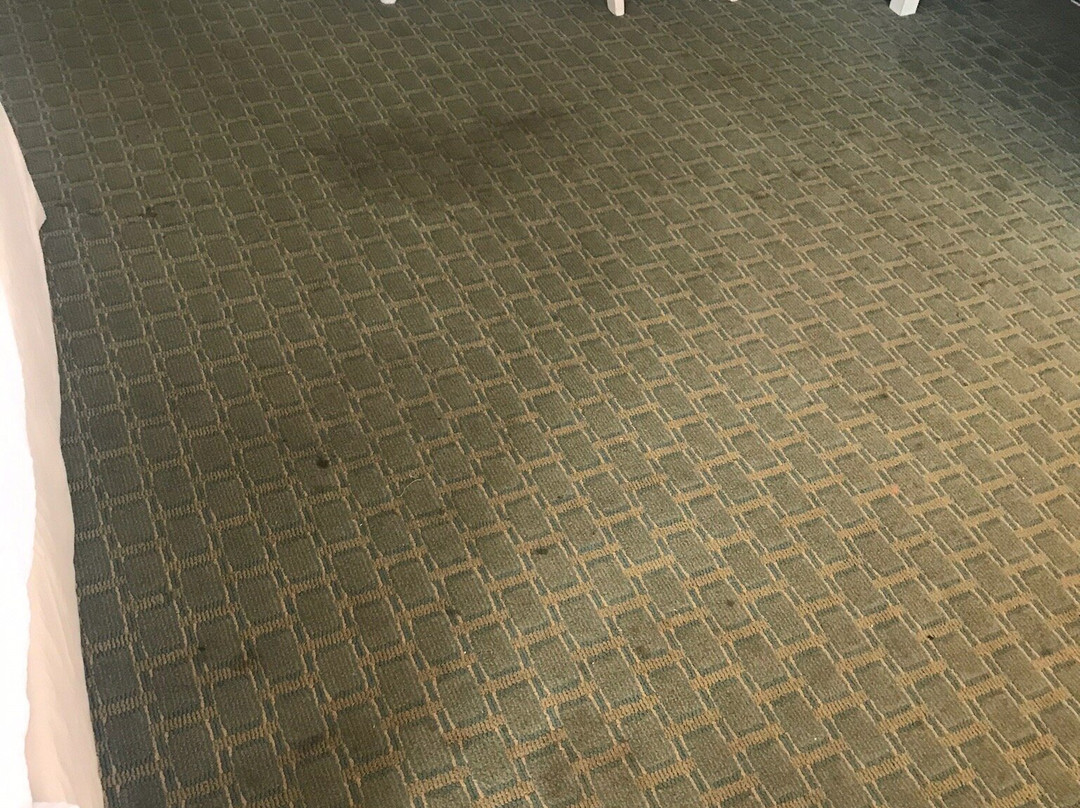 Ocean Park Inn主图