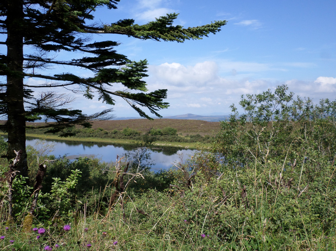 Lough Navar Forest Viewpoint景点图片