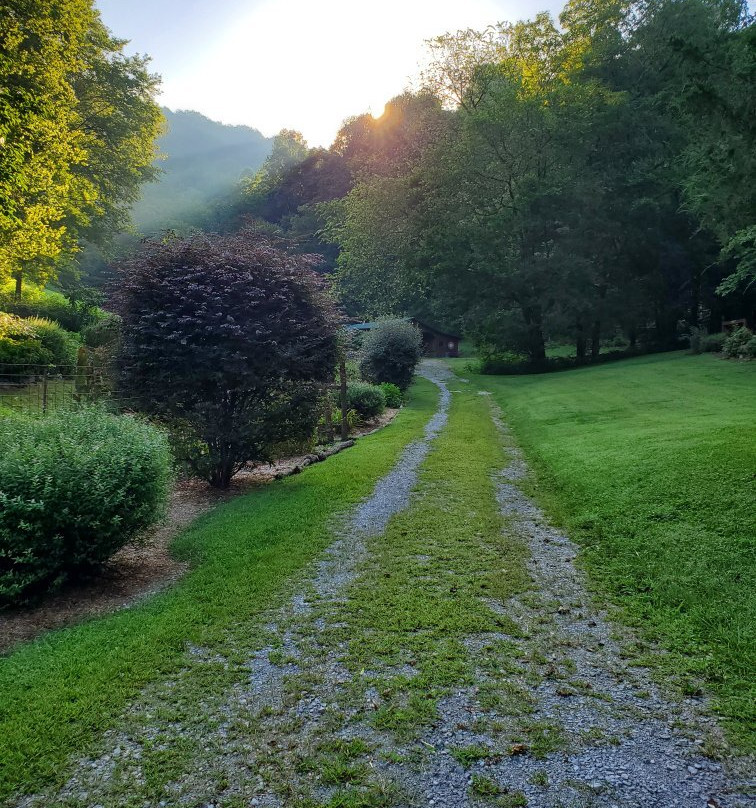 Butterfly Hollow - A Hidden Retreat主图