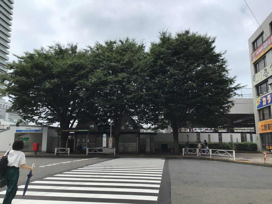 Ken Shimura Tree-东村山市必去景点