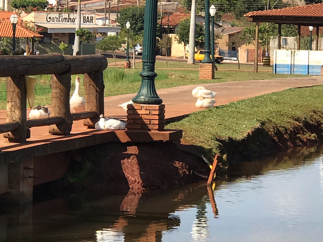 Parque do Povo景点图片