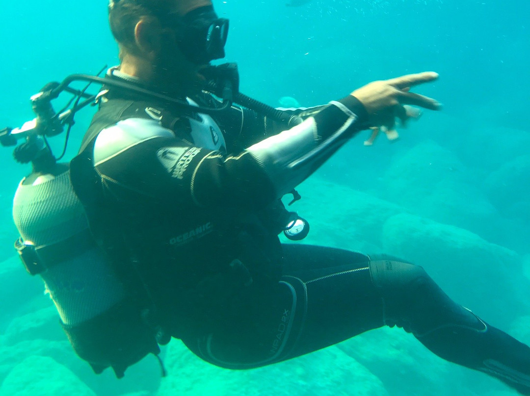 The Yellow Submarine-Ladiko必去景点