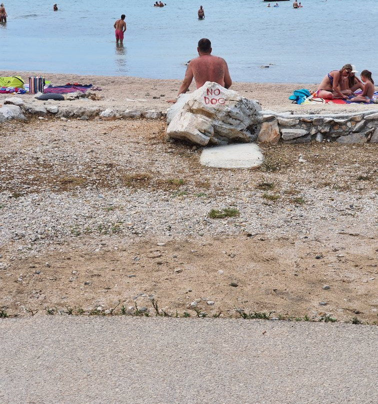 Dog-friendly Beach景点图片