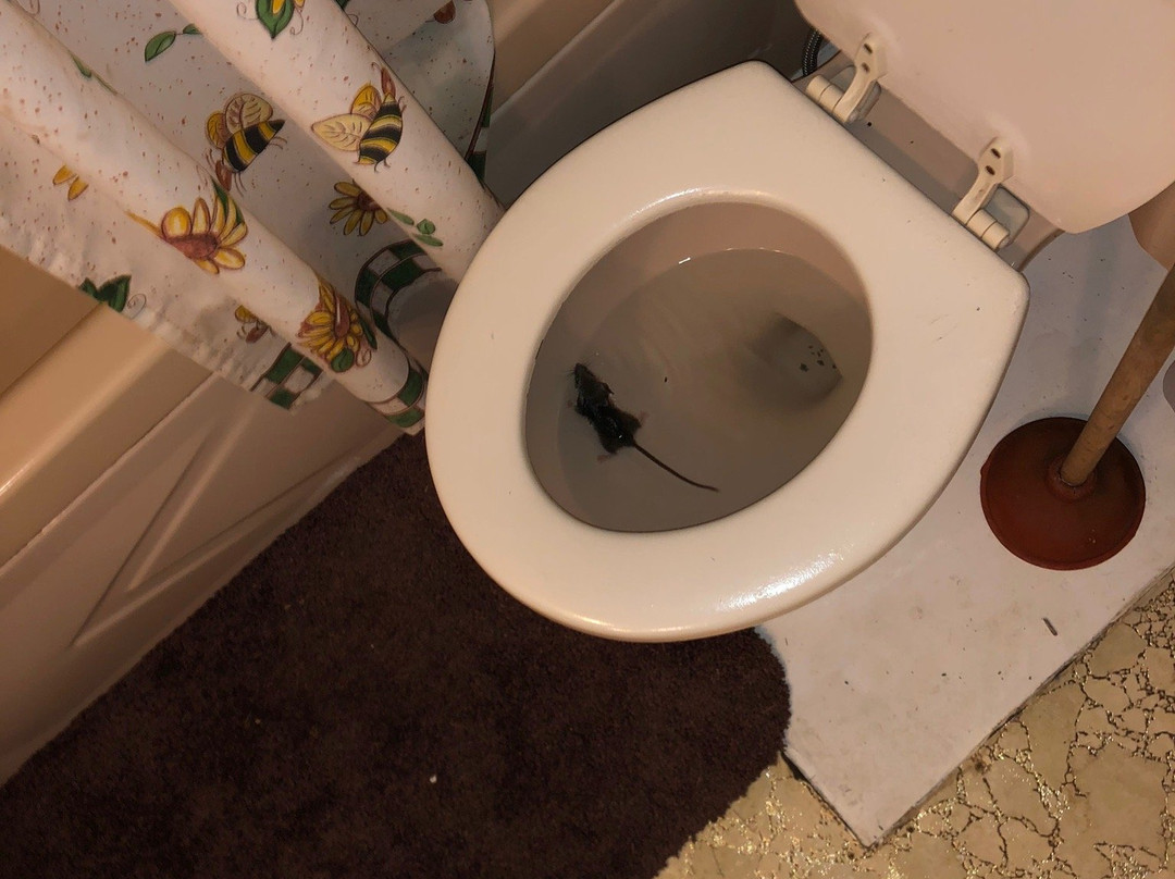 Forestport旅游攻略图片