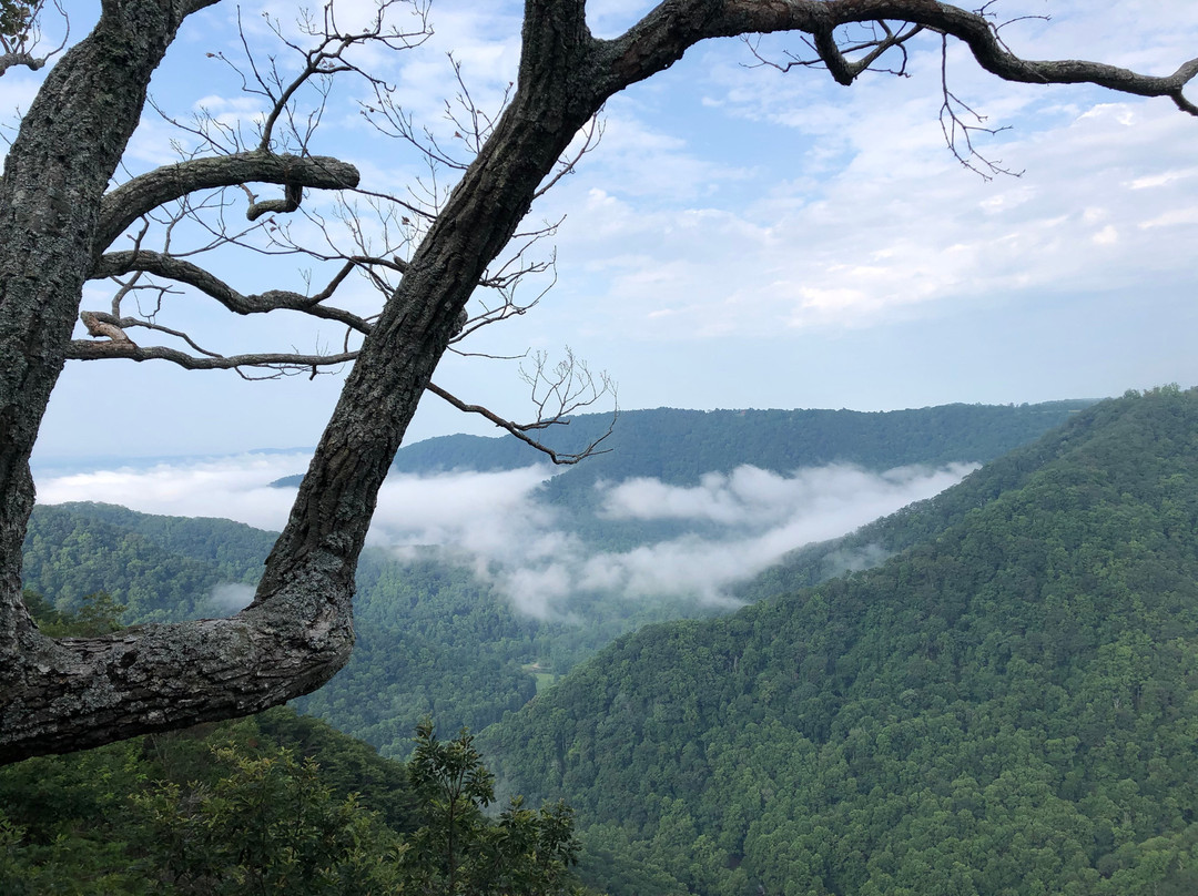 The Lodge at Primland, Auberge Collection主图