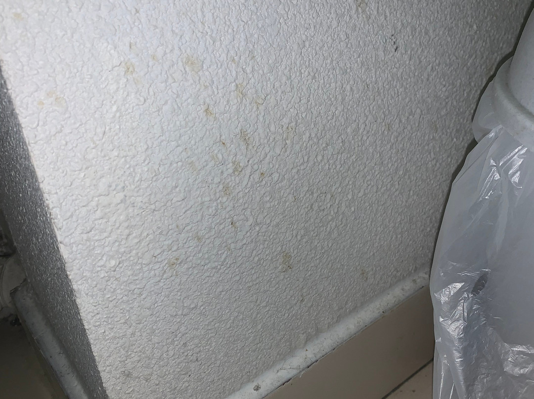 阿达吉奥阿克瑟斯克雷蒙费兰德杰扎酒店主图