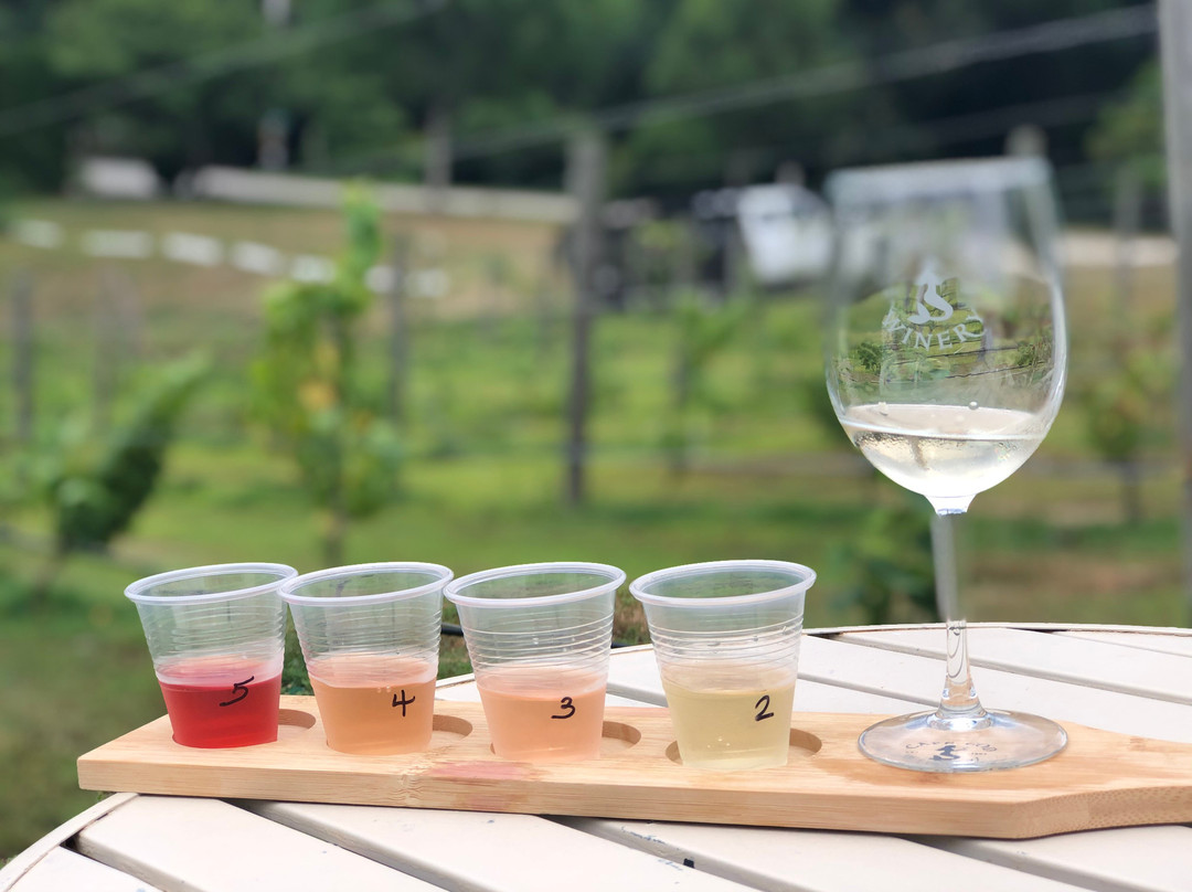 Cape Cod Winery景点图片