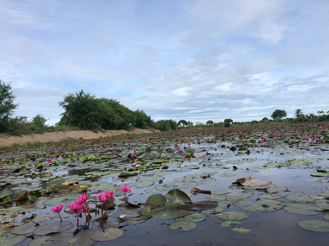 Red Lotus Floating Market-佛统必去景点