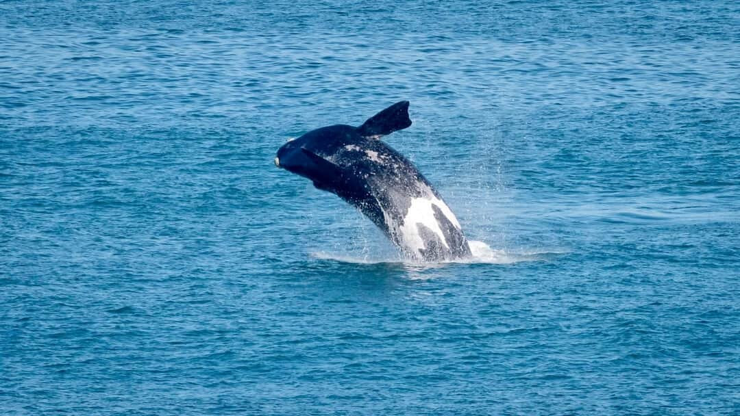 Eden Guesthouse B&B主图