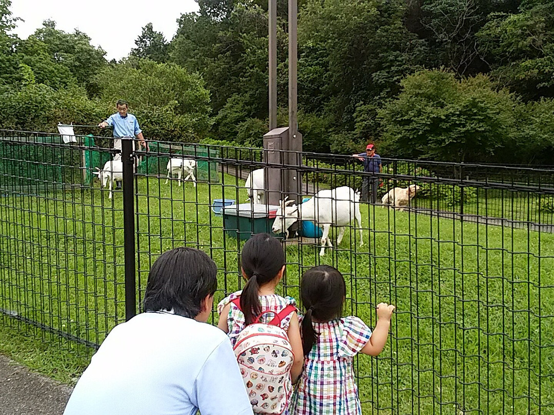 Nanbu Hill Park景点图片