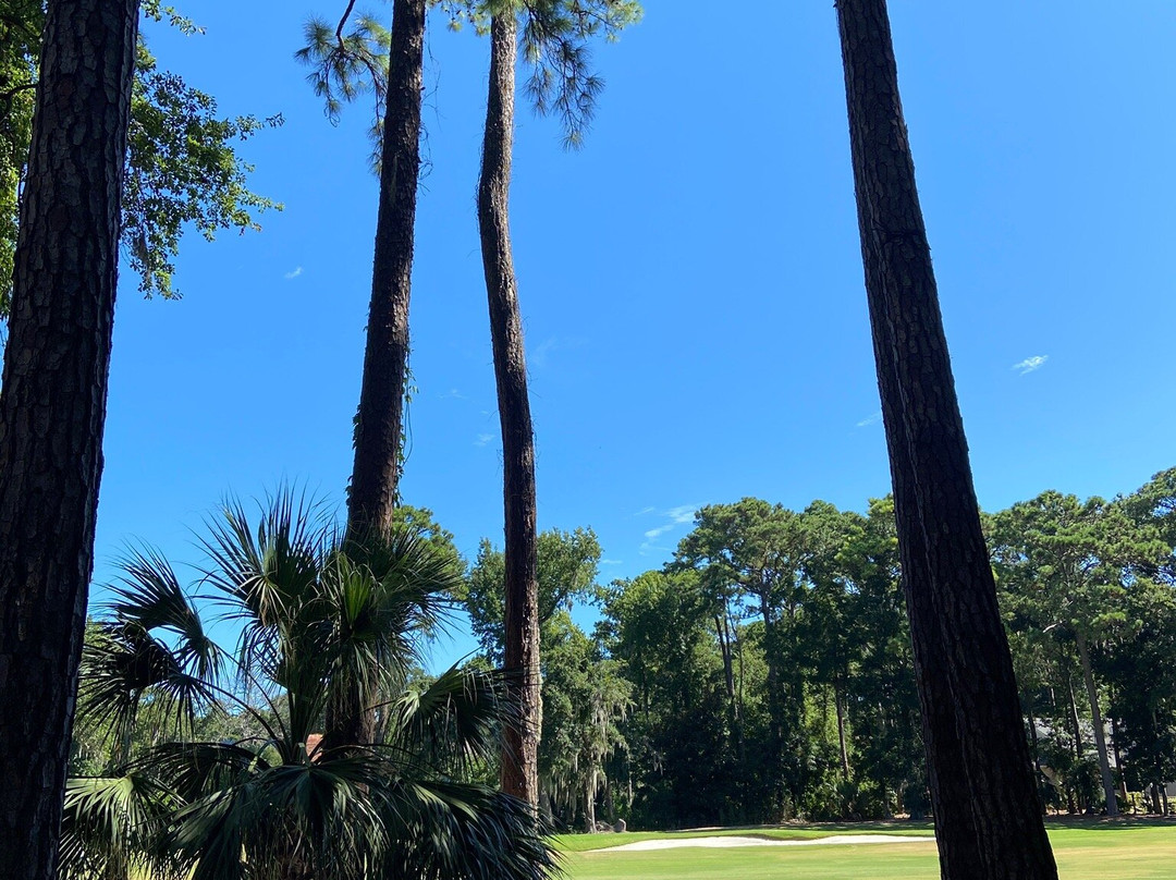 Shipyard Golf Club-希尔顿头岛必去景点