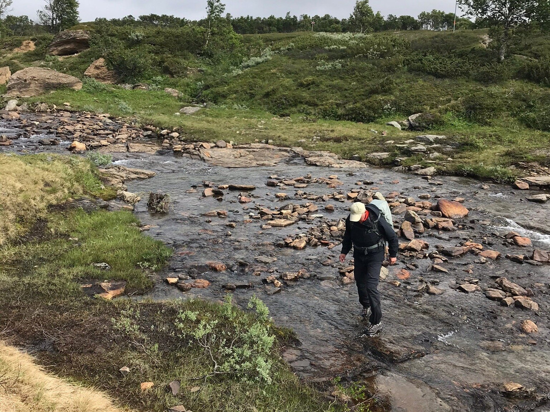 Eriksgardens Fjallhotell主图