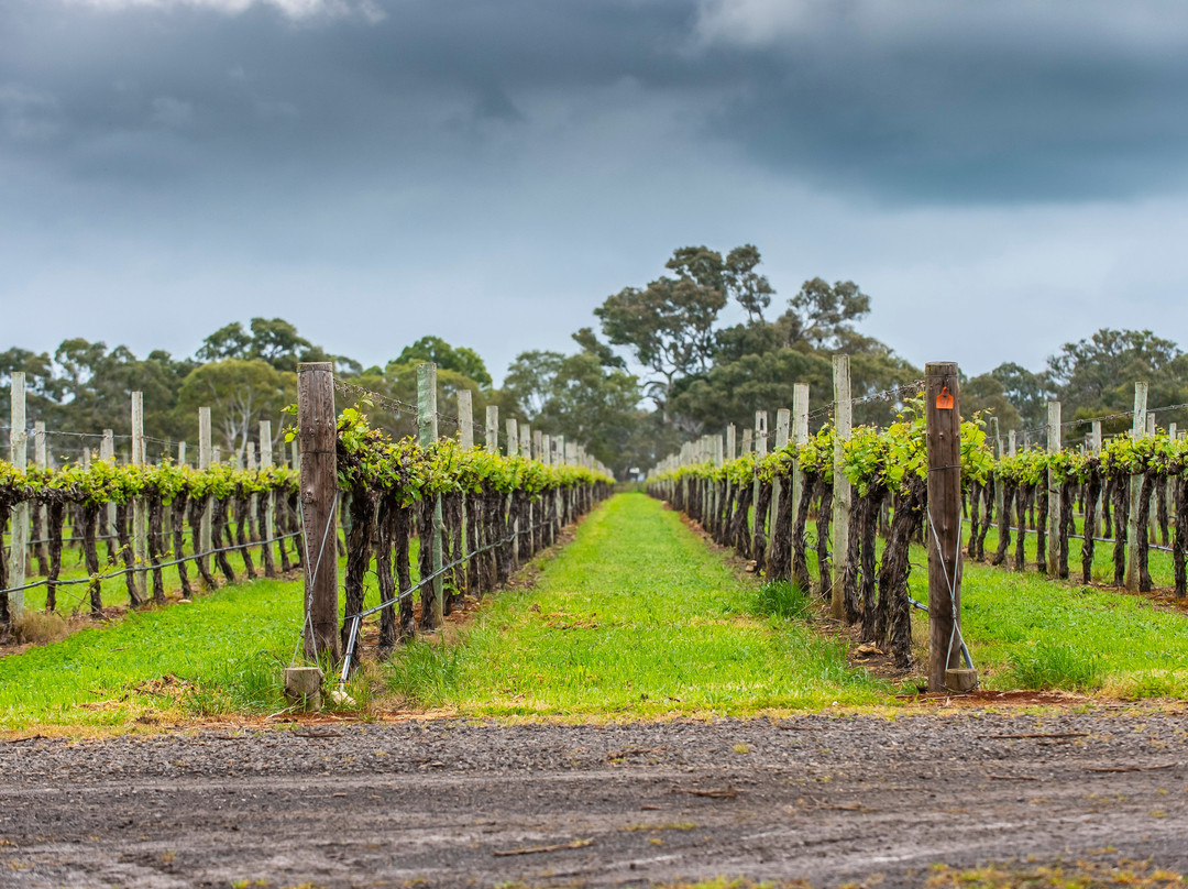 Zema Estate-Coonawarra必去景点