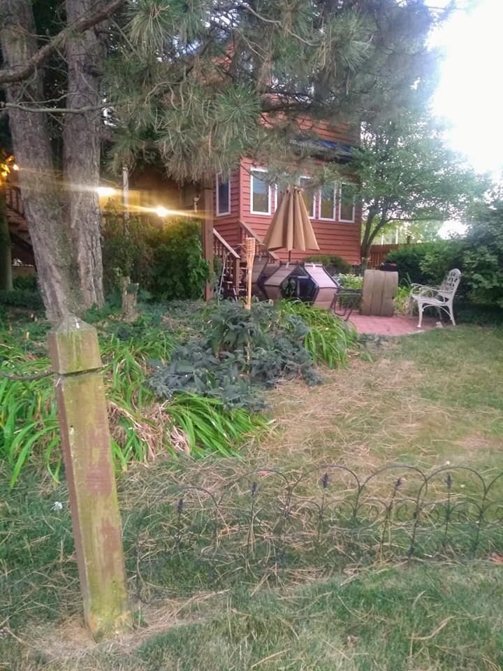 Mill House Bed and Breakfast-酒店景观
