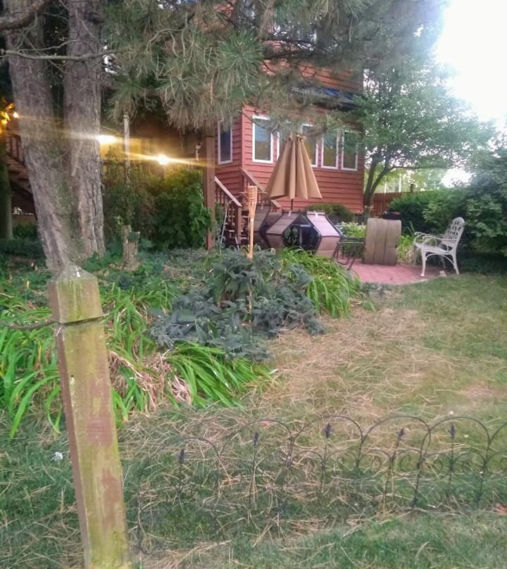 Mill House Bed and Breakfast主图