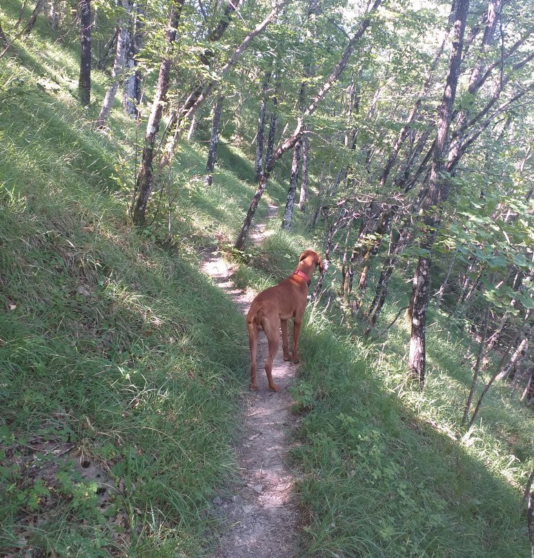 Rifugio /Bivacco di Nasseto景点图片