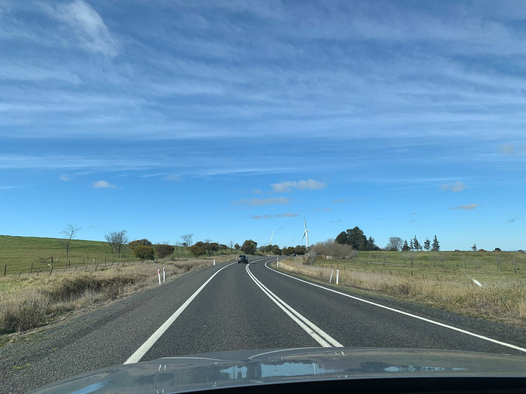 Crookwell Wind Farm-Crookwell必去景点