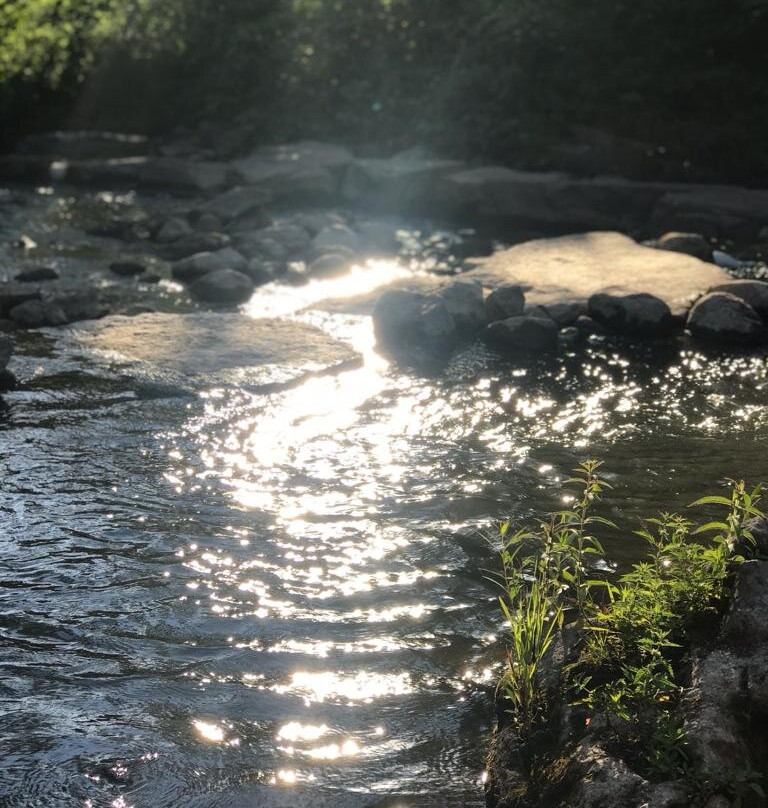 Mill Pond-Milton必去景点