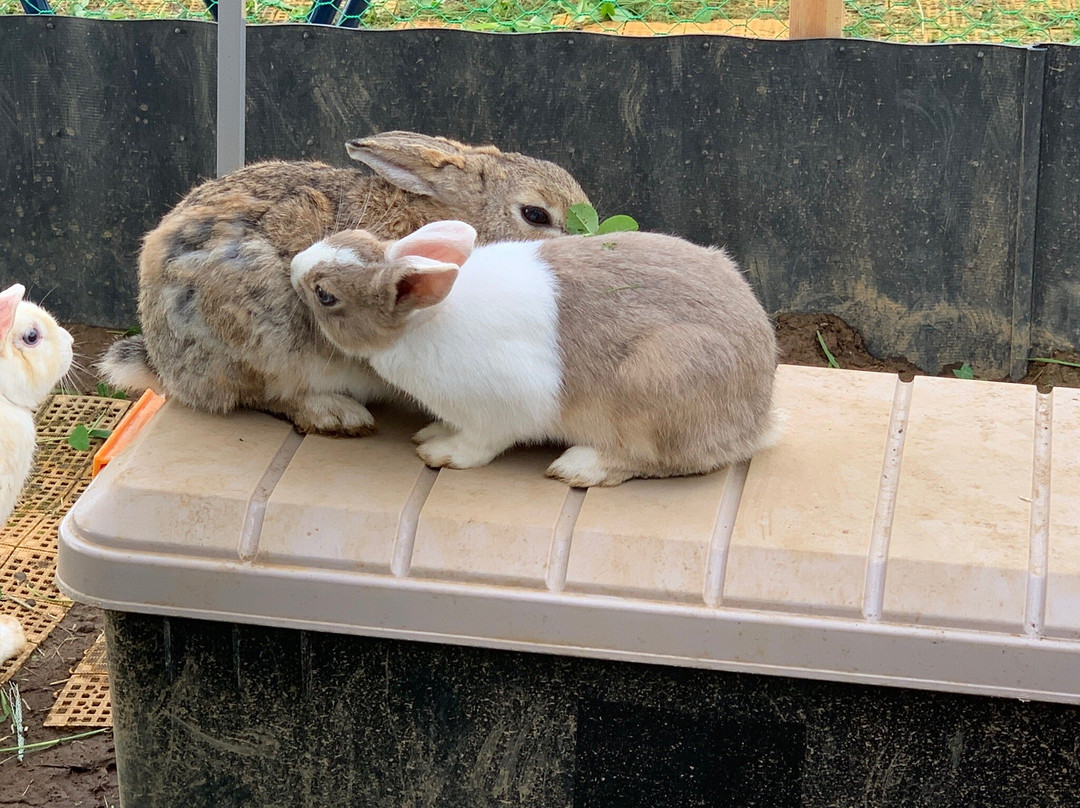 Sky Station Sol la la Product Center-小美玉市必去景点