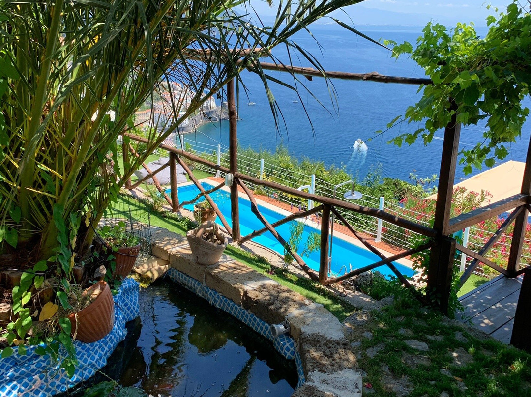 H.H.里帕尔梅酒店主图