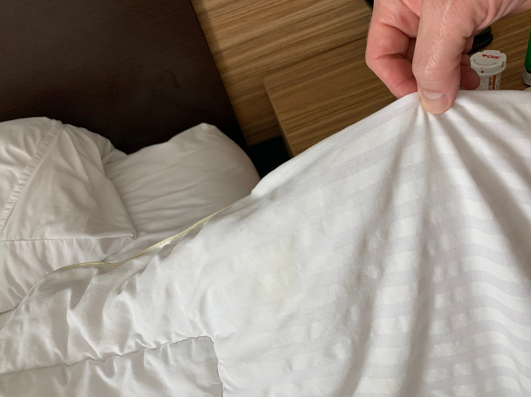 TownePlace Suites by Marriott Lake Charles主图