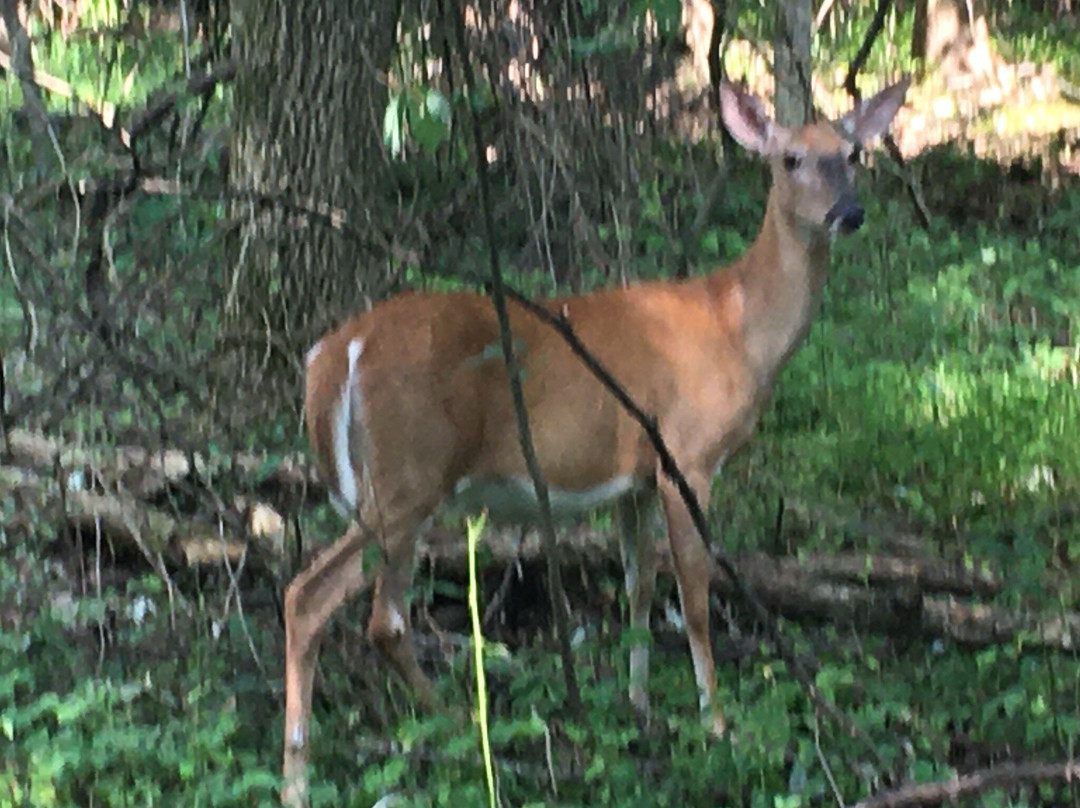 John Audubon Center at Mill Grove-Audubon必去景点