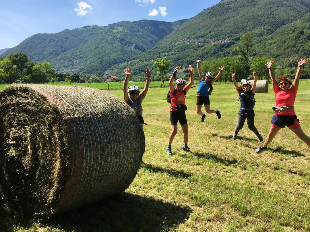 Taste & Travel Italy - FREE TOUR and more-莱切必去景点