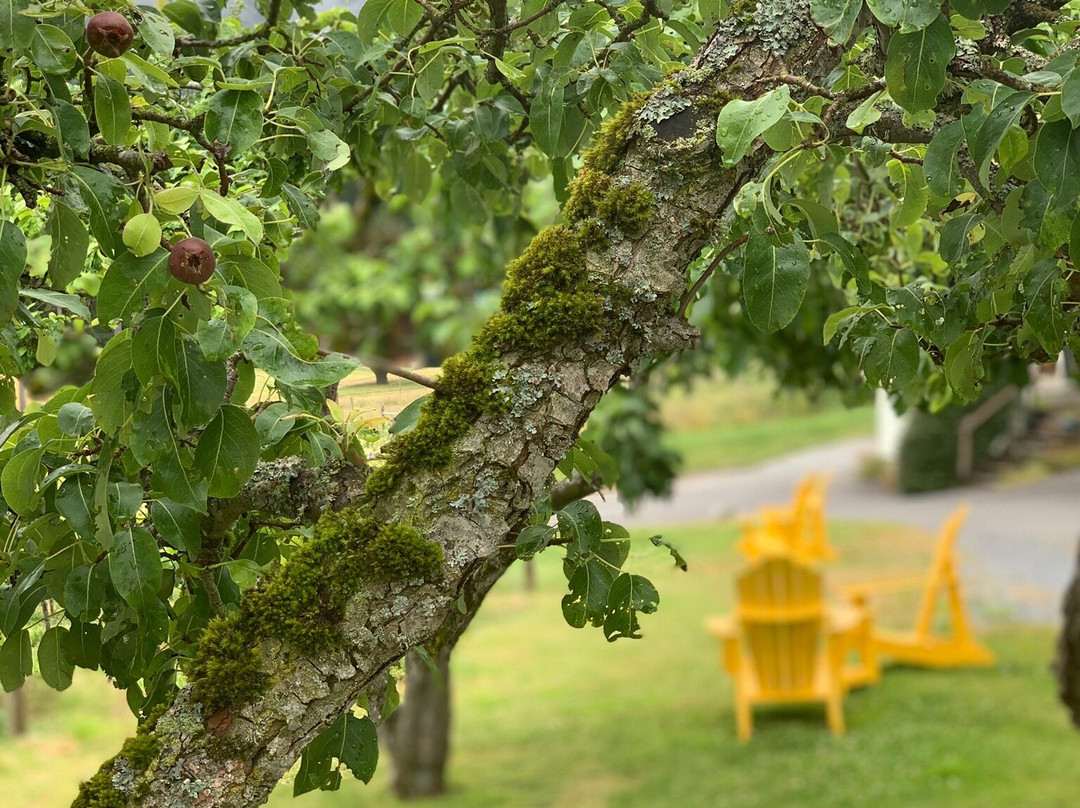 Garry Oaks Estate Winery景点图片