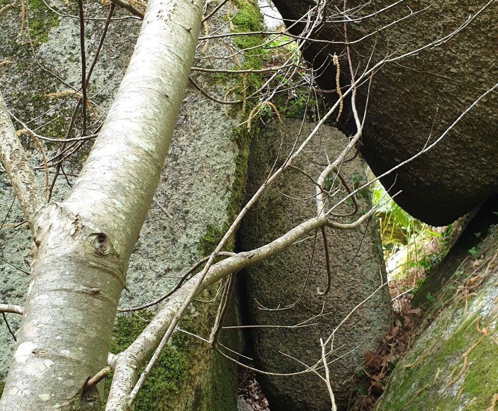 Vallée des Traouïero景点图片