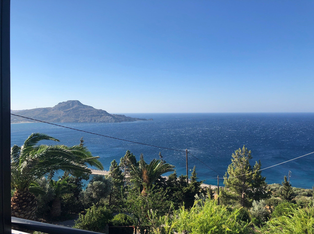 Elgini Studios Apartments主图