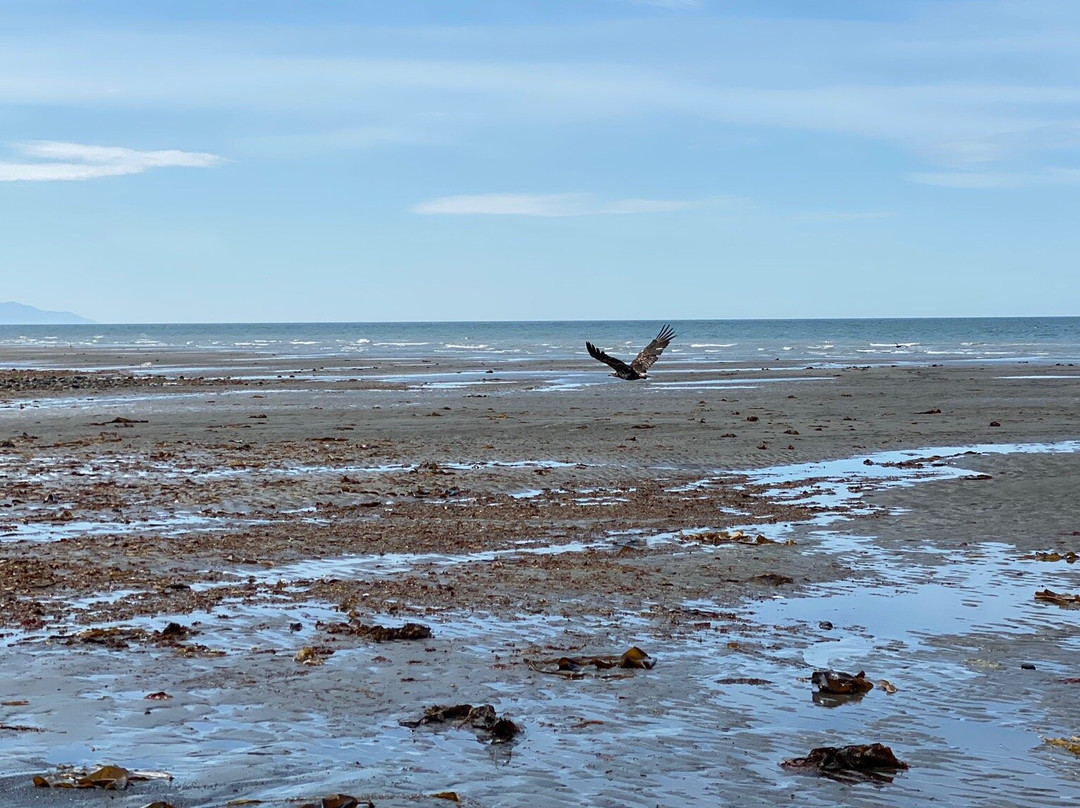 Moose Trail ATV Adventures-索尔多特纳必去景点