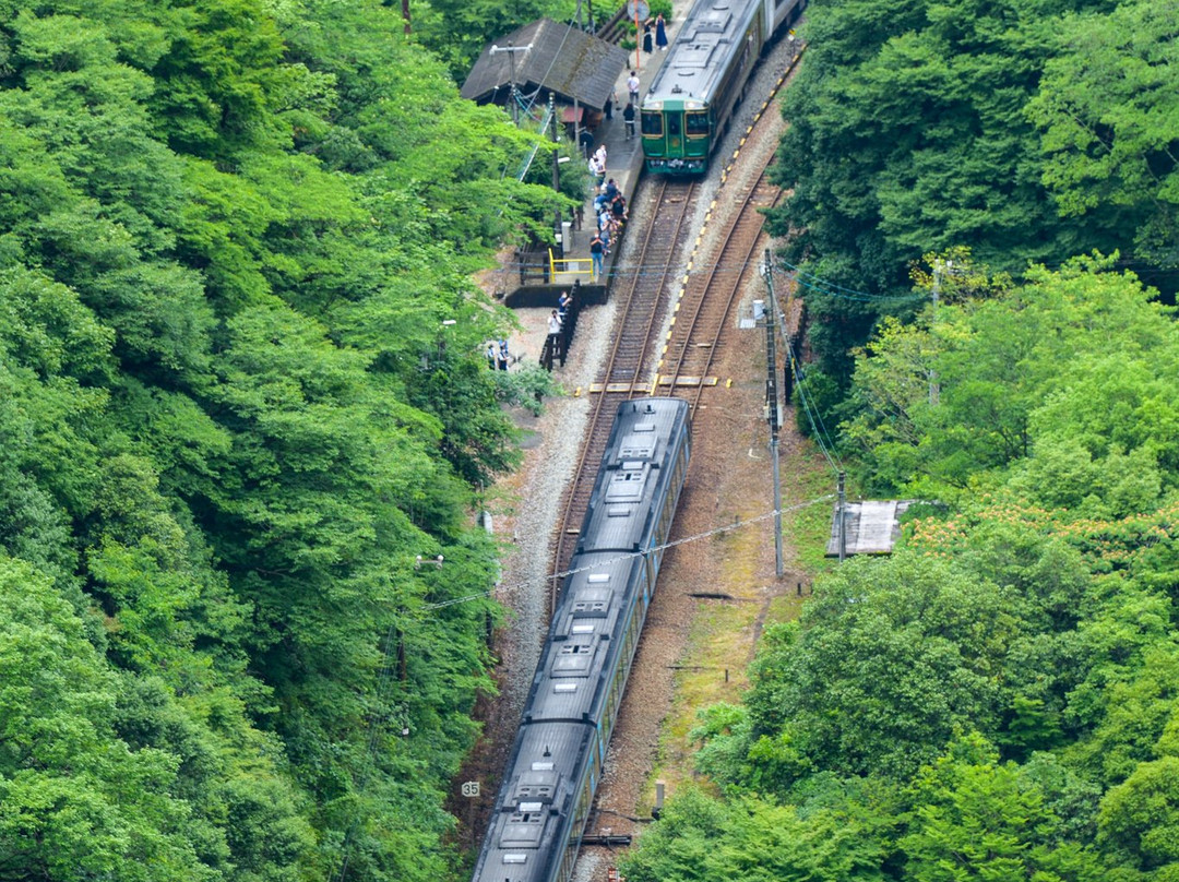 Tsubojiri Station-三好市必去景点