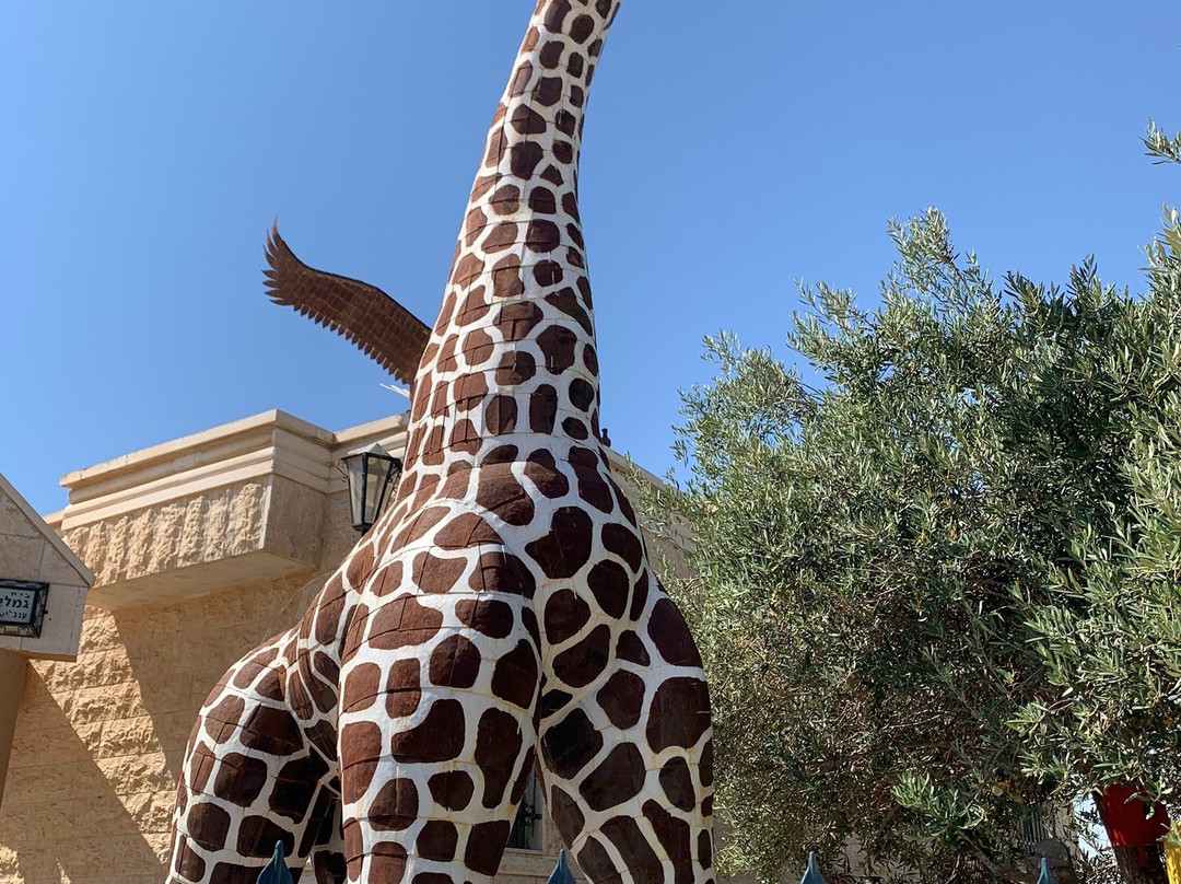 House of Art-Arad必去景点