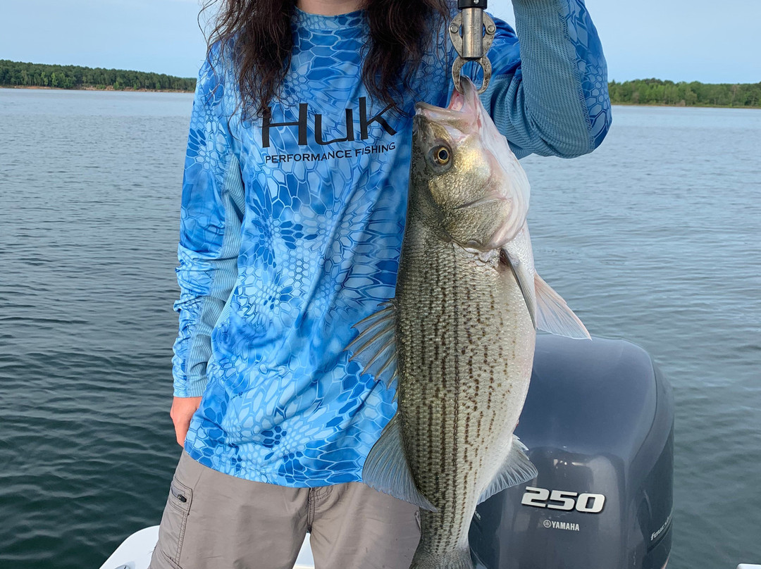 Bud Lady Fishing景点图片